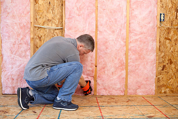 Best Insulation Maintenance and Repair in Lennox, SD